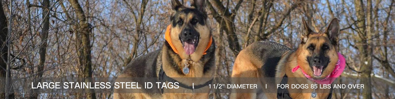 Large Dog Stainless Steel ID Tags - Our large stainless steel ID tags are perfect for dogs over 85 lbs.