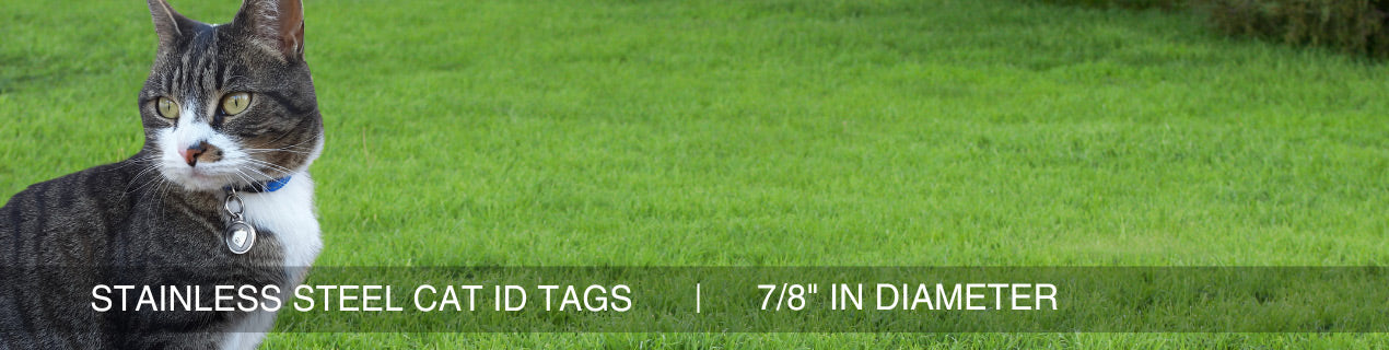 Premium Stainless Steel Cat ID Tags
