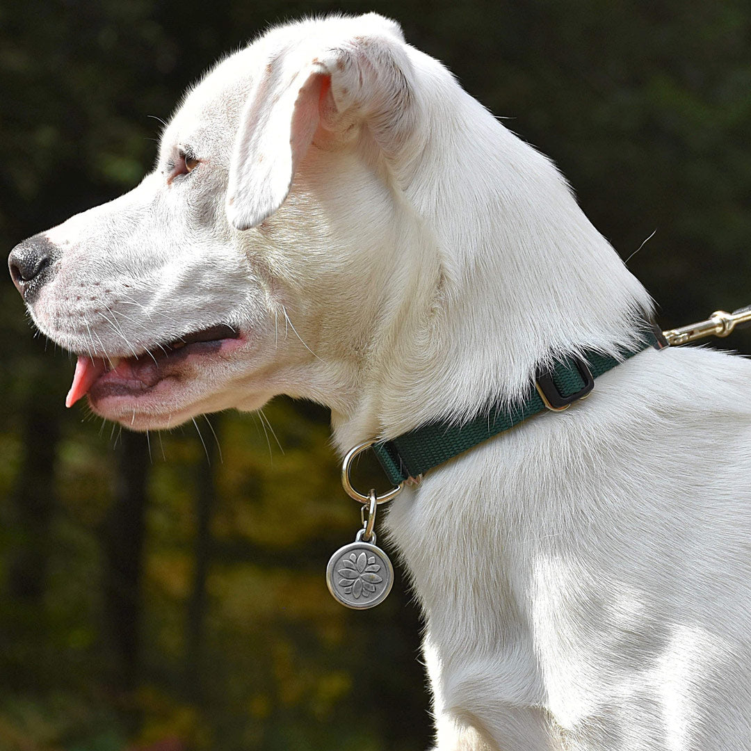 Large Stainless Steel Lotus Dog ID Tag
