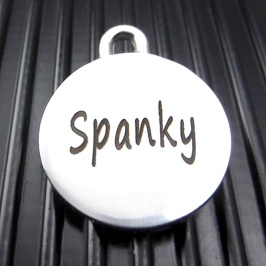 Large Stainless Steel Tennis Ball Pet Keychain