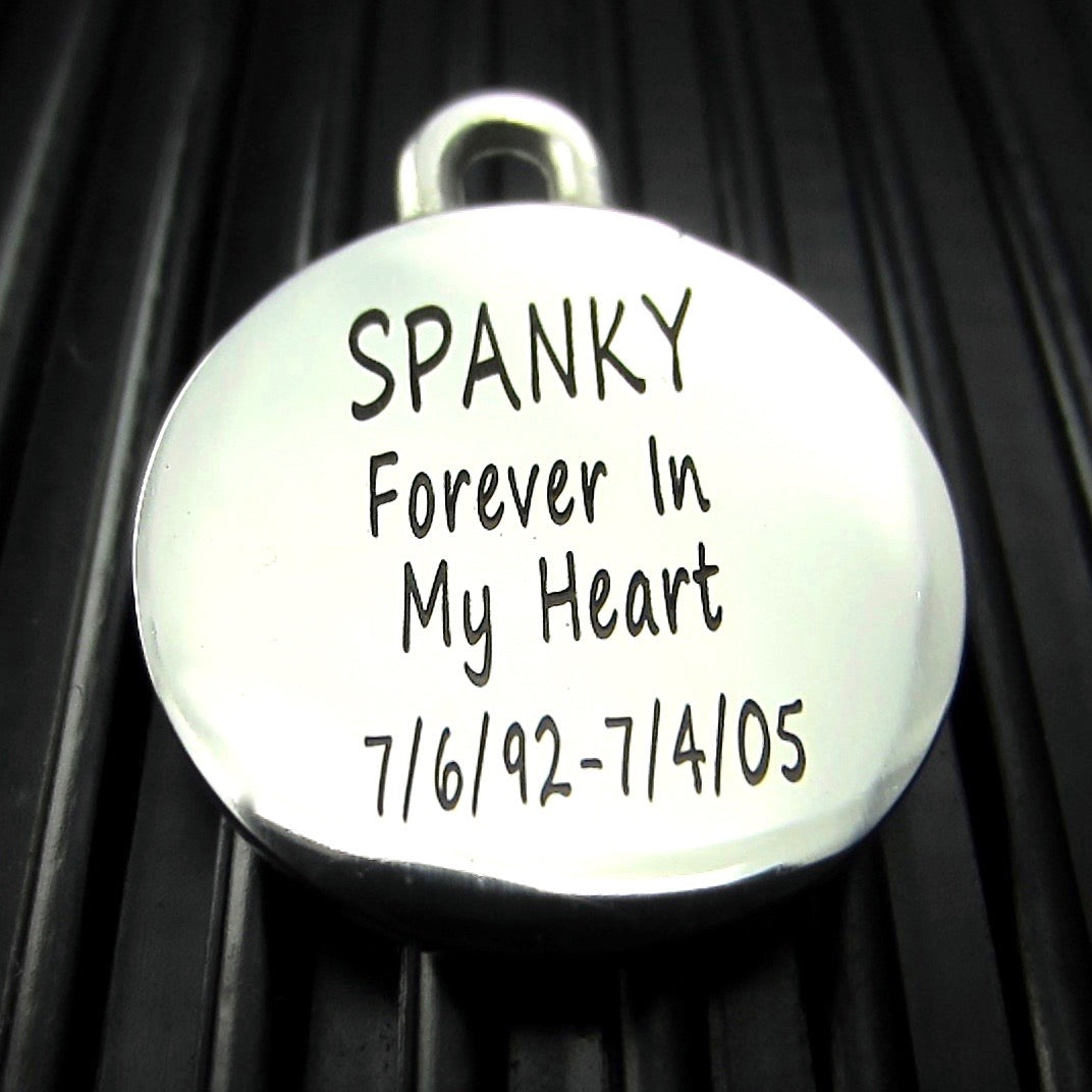 Large Stainless Steel Tennis Ball Pet Keychain