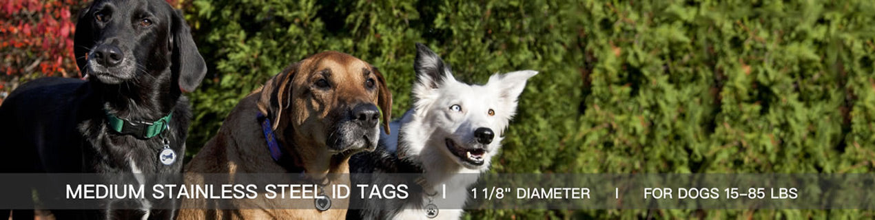 Medium Dog Stainless Steel ID tags - Our medium stainless steel ID tags are perfect for dogs weighing between 15 lbs and 85 lbs.