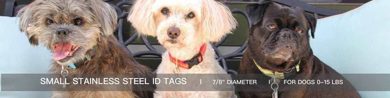 Small Dog Stainless Steel ID Tags - Our small stainless steel ID tags are perfect for dogs weighing less than 15 lbs.