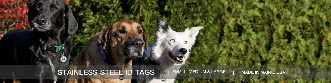 Dog ID Tags - Our stainless steel ID tags are perfect for dogs of all sizes.