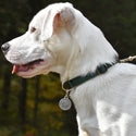 Large Stainless Steel Lotus Dog ID Tag