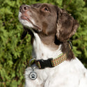 Stainless Steel Dog Id Tags for Large Dogs