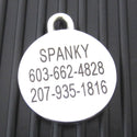 Stainless Steel Double Sided Cat ID Tag