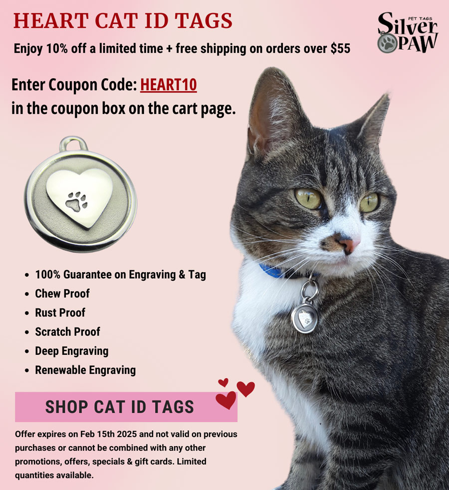 Heart Cat ID Tag